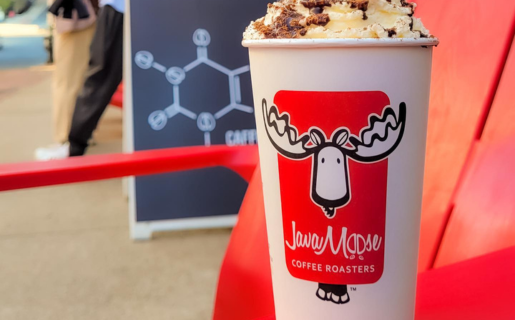 Java Moose | Discover Saint John