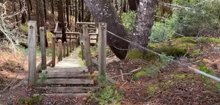 Fundy Footpath - Fundy Trail Parkway