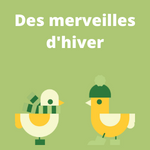 Des merveilles d'hiver