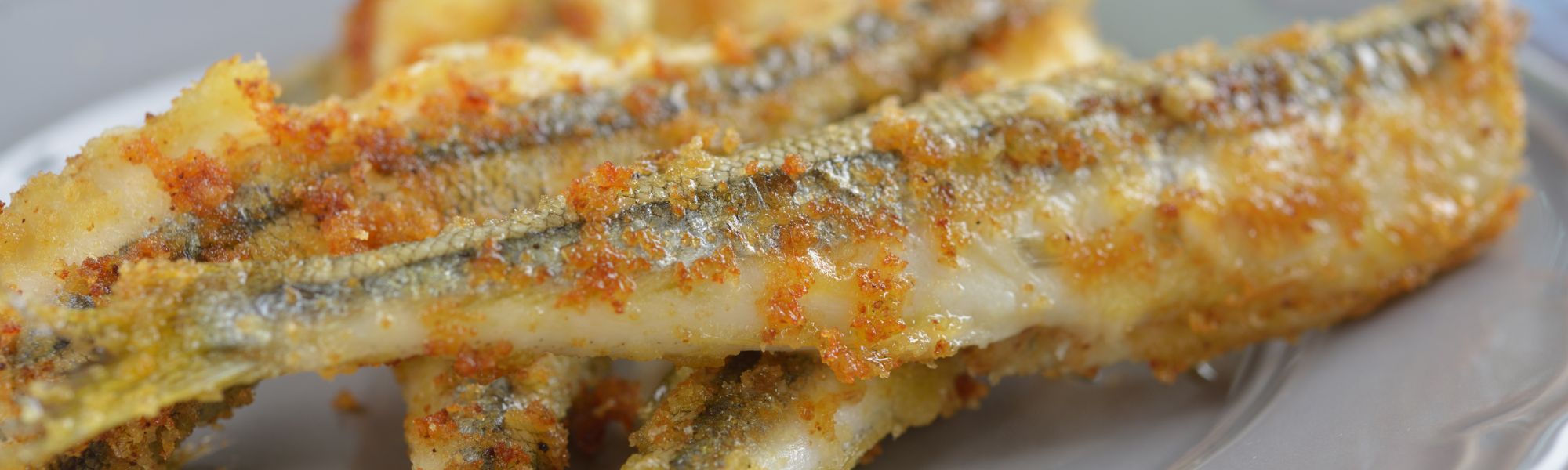 Taste The Region | Discover Saint John