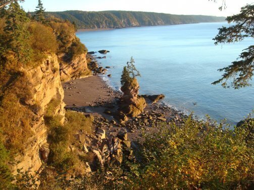 Fondo Gran Puente Sobre El Río Salmón En Fundy Trail Parkway Foto