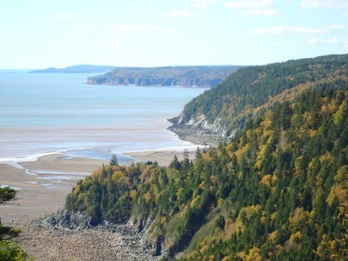 Gran río de salmones en el Fundy Trail Parkway de Nueva Brunswick