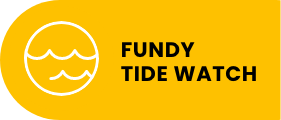 fundy tide watch